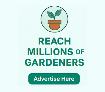 Ad Space for Sale
